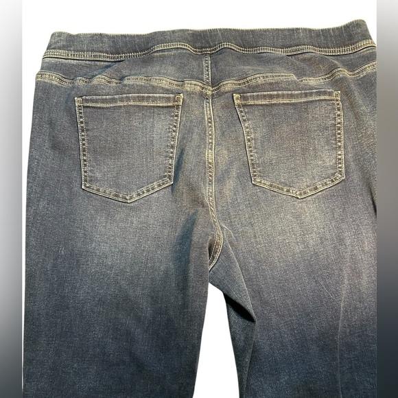 Torrid Blue Women's Jeans, Size 2s (18/20 or 2X), GUC - Picture 2 of 4